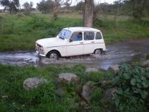 IMG_43366110598034.jpeg
